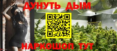 прущие крисы Донецк