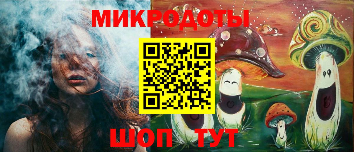Псилоцибиновые грибы Psilocybe Слободской